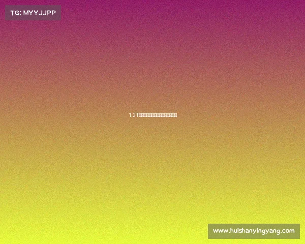 1.2T动力够用吗？老车主告诉你答案！